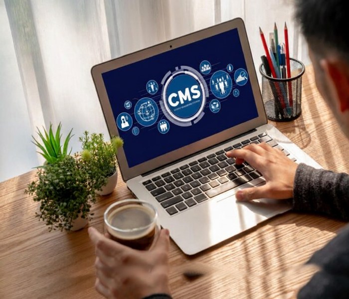 CMS Website Development
